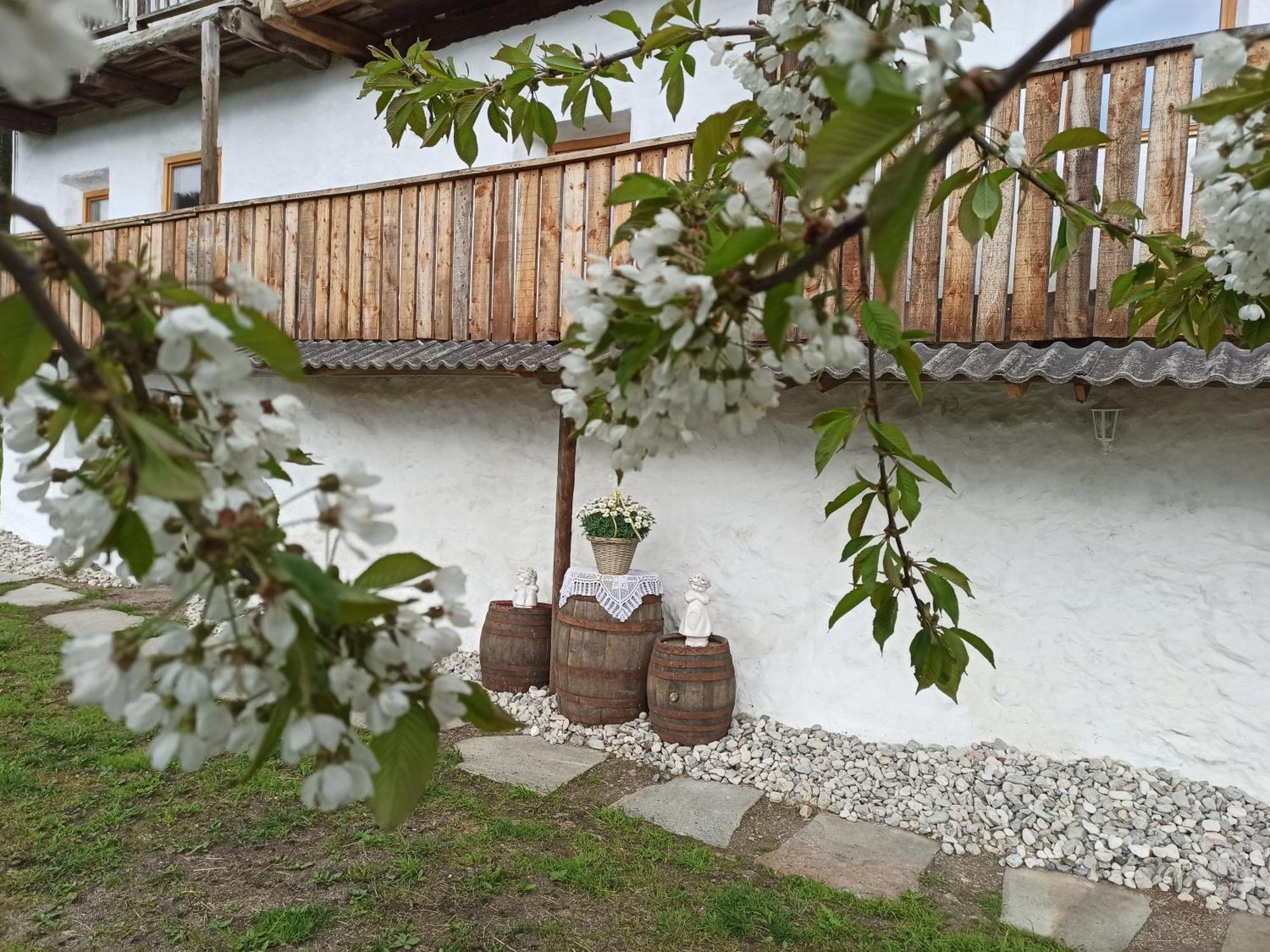 Natur Appartments Riesen Сан-Лоренцо-ді-Себато Екстер'єр фото
